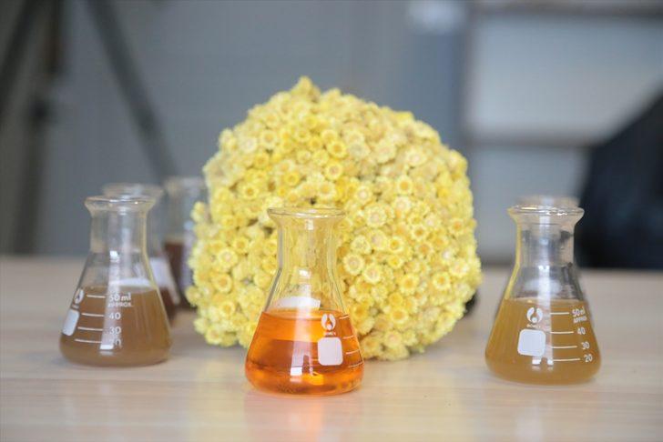 Erzurum'da yetiştirilecek bitkiler, ilaç ve kozmetik sanayisine kazandırılacak G1