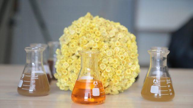 Erzurum'da yetiştirilecek bitkiler, ilaç ve kozmetik sanayisine kazandırılacak