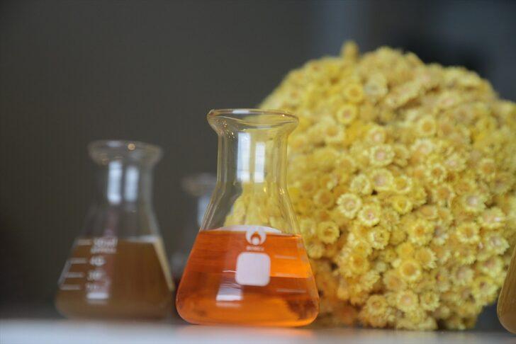 Erzurum'da yetiştirilecek bitkiler, ilaç ve kozmetik sanayisine kazandırılacak G2