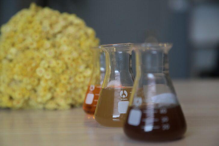 Erzurum'da yetiştirilecek bitkiler, ilaç ve kozmetik sanayisine kazandırılacak G3