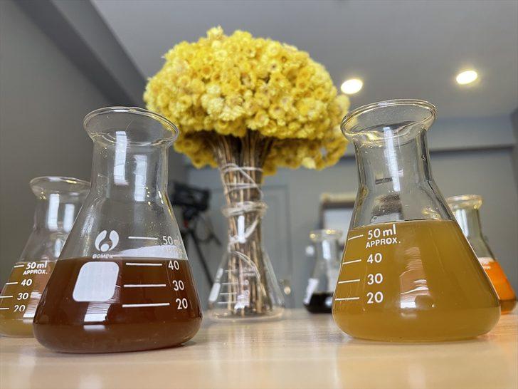 Erzurum'da yetiştirilecek bitkiler, ilaç ve kozmetik sanayisine kazandırılacak G5