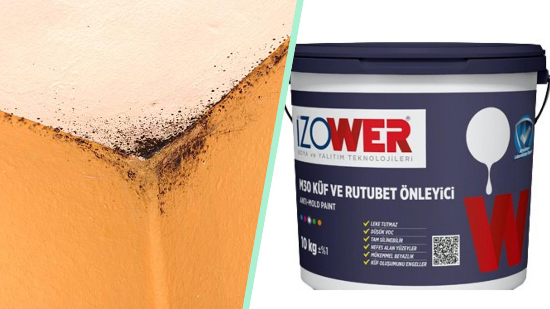 Küflenen tavan ve köşelere sorunsuz çözüm sunan en iyi küf önleyici boya ve ürünler