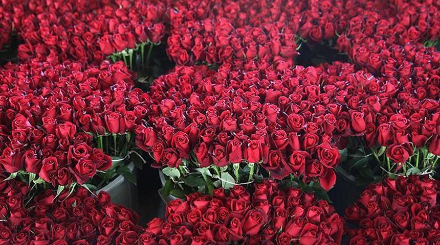 14 Şubat Sevgililer Günü yaklaşırken gözler çiçek tezgahlarında... "Fiyatlar el yakacak"