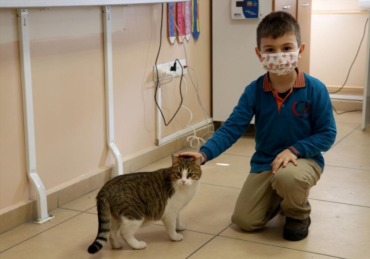 Okulun bah&ccedil;esinde kalan "Yumak" &ouml;ğrencilerin can dostu oldu