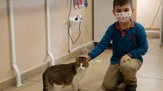 Okulun bahçesinde kalan Yumak öğrencilerin can dostu oldu