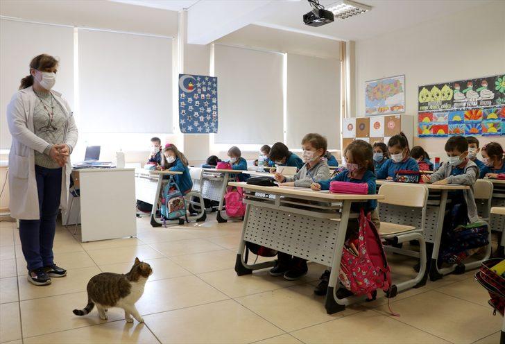 Okulun bahçesinde kalan "Yumak" öğrencilerin can dostu oldu G2