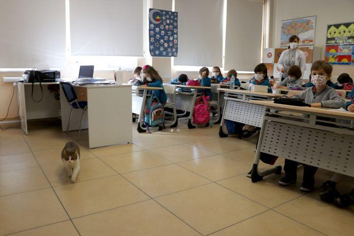 Okulun bahçesinde kalan "Yumak" öğrencilerin can dostu oldu G4