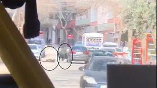 Mardin'de sokak ortasında silahlı çatışma! Dehşet anları kamerada