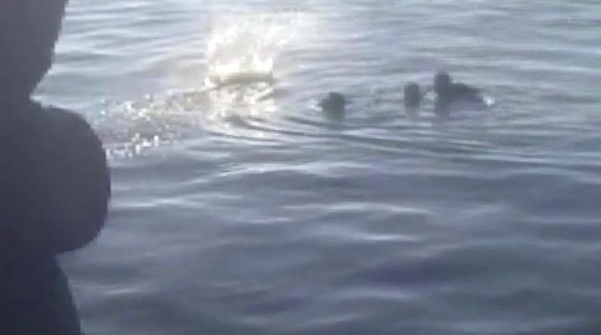 İstanbul'da denizde can pazarı! "Yardım edin" çığlıkları attılar