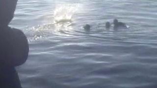 İstanbul'da denizde can pazarı! Yardım edin çığlıkları attılar