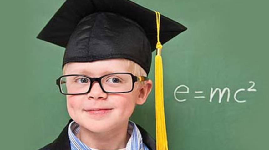 Hangi Zeka Tipine Sahip?