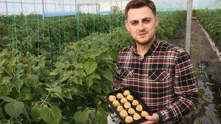 Fiyatı altınla yarışıyor! 100 gramı 40 TL