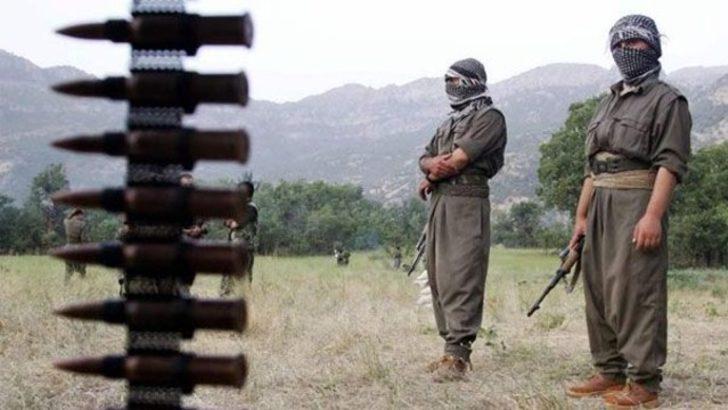 Almanya'dan PKK'ya silah konusunda çelişkili açıklamalar