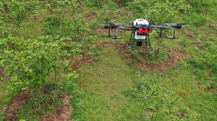 Yüzde 50 tasarruf sağlanacak! Fındık bahçelerini insansız hava araçlarıyla ilaçlayacaklar