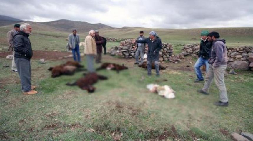 Sabah bu manzarayla şok oldular