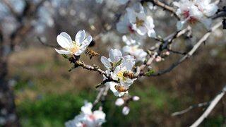 Cemre ne zaman, nereye düşecek? 2022 Cemre düştü mü? 2022 ilk cemre ne zaman düşecek? 