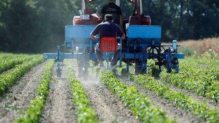 Tarımda enflasyon rekor tazeledi