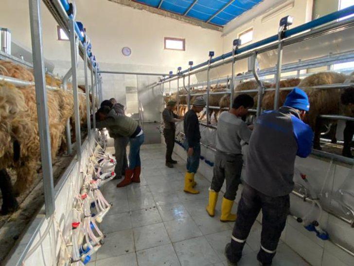 4 milyonluk yatırım yapılan işletmenin yolu kapatıldı! Tesisler çöp olmak üzere... G2