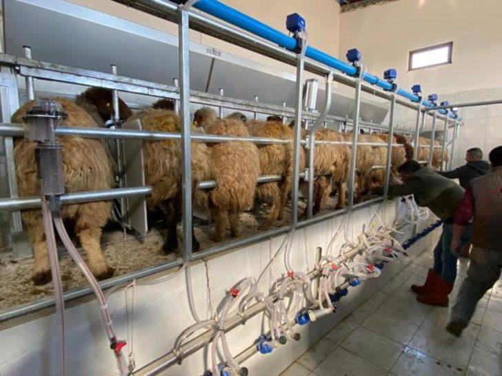 4 milyonluk yatırım yapılan işletmenin yolu kapatıldı! Tesisler çöp olmak üzere... G3