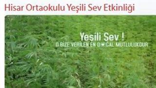 MEB’den kenevir skandalı! 