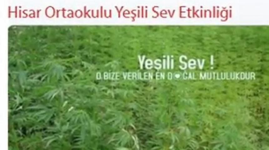 MEB’den kenevir skandalı! 