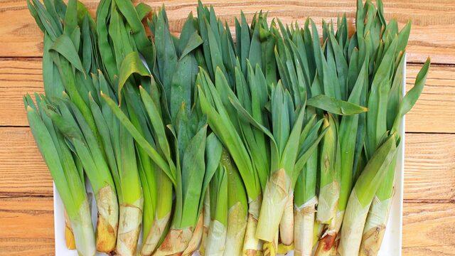 İlaç kadar faydalı! Doktorlar bile öneriyor: Çiriş otu nedir, çiriş otunun faydaları nelerdir? Çiriş otu neye iyi gelir?