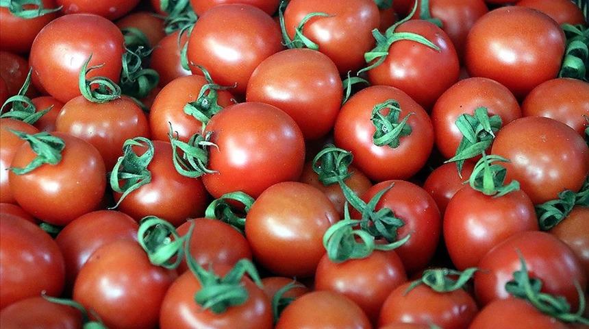 Domatesten 1 milyar dolar gelir hedefleniyor