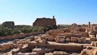 Dara Antik Kenti'ndeki kazılarda 6. yüzyıldan kalan zeytinyağı işliği tespit edildi