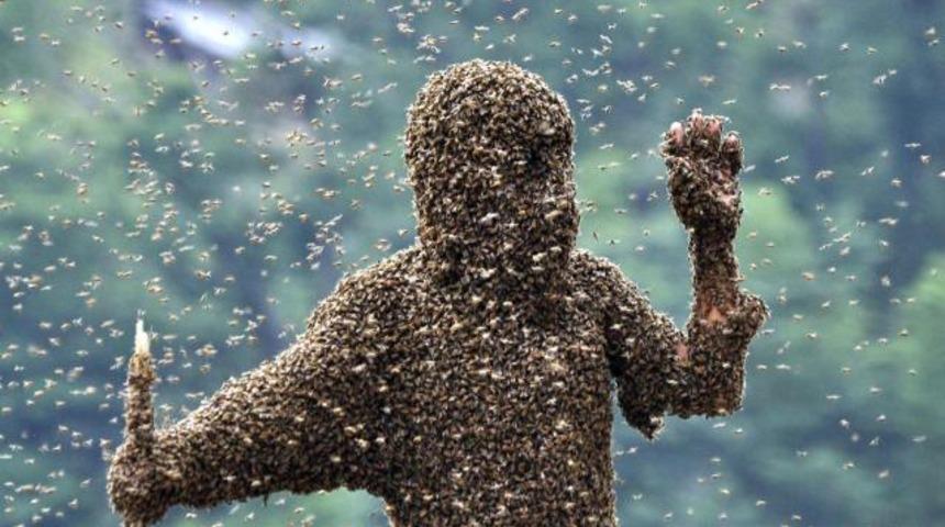 Arılardan saç ve sakal yaptı