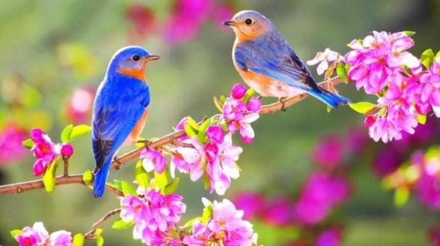 Cemre havaya ne zaman düşecek? 2022 birinci cemrenin düşme tarihi!