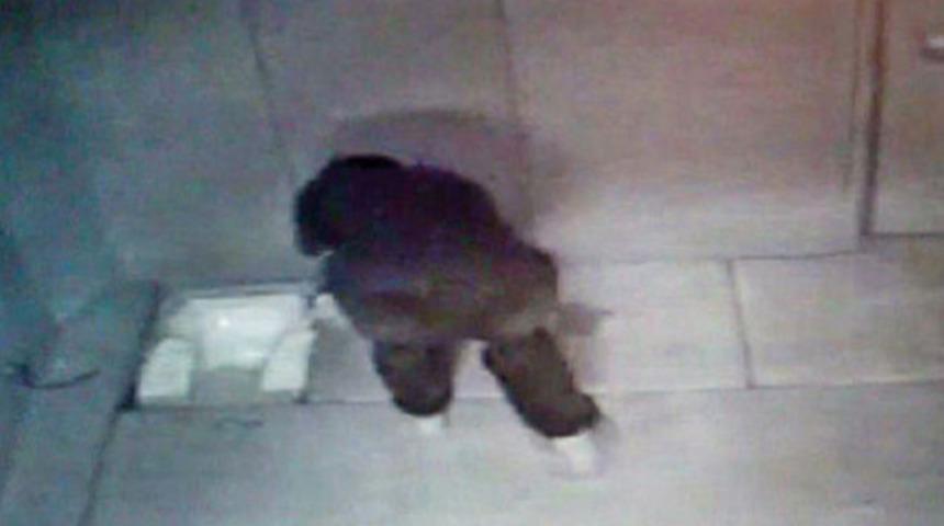 Cezaevinde s&uuml;ngerli rezalet