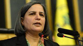 Kışanak'tan 2. petrol açıklaması