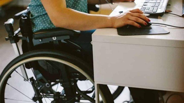 2022 EKPSS yerleştirme sonuçları açıklandı mı? 2022 Engelli memur ataması sonuçları belli oldu mu? ÖSYM Engelli Kamu Personeli Seçme Sınavı sonuçları sorgulama ekranı! G3