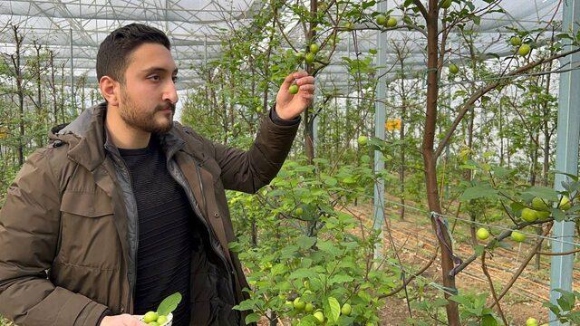 Kilosu 2 bin lira! Arap şeyhlerinden sipariş yağıyor: 12 ay bebek gibi bakıyoruz