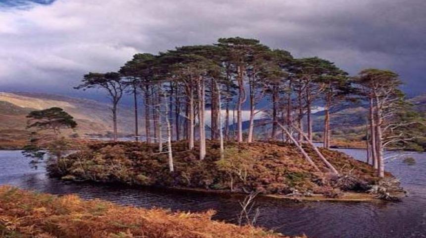 iPhone 5S’in kamerasına övgü