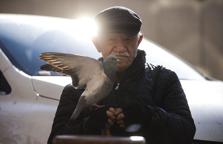 Elleriyle beslediği güvercinler 86 yaşındaki ayakkabı boyacısının en yakın arkadaşı oldu G1