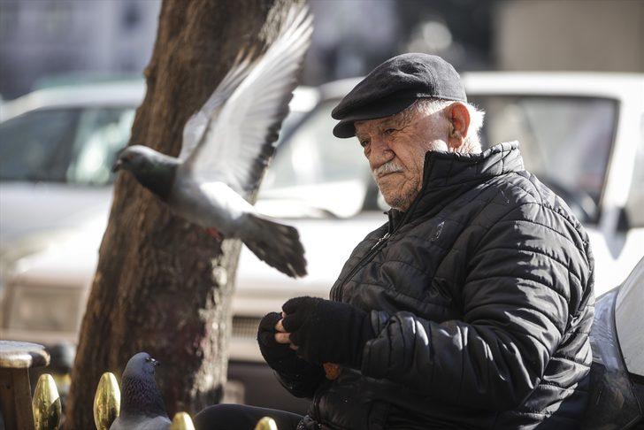 Elleriyle beslediği güvercinler 86 yaşındaki ayakkabı boyacısının en yakın arkadaşı oldu G4