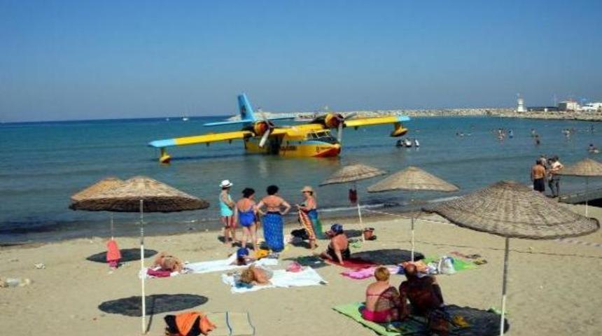 Plajda davetsiz misafir