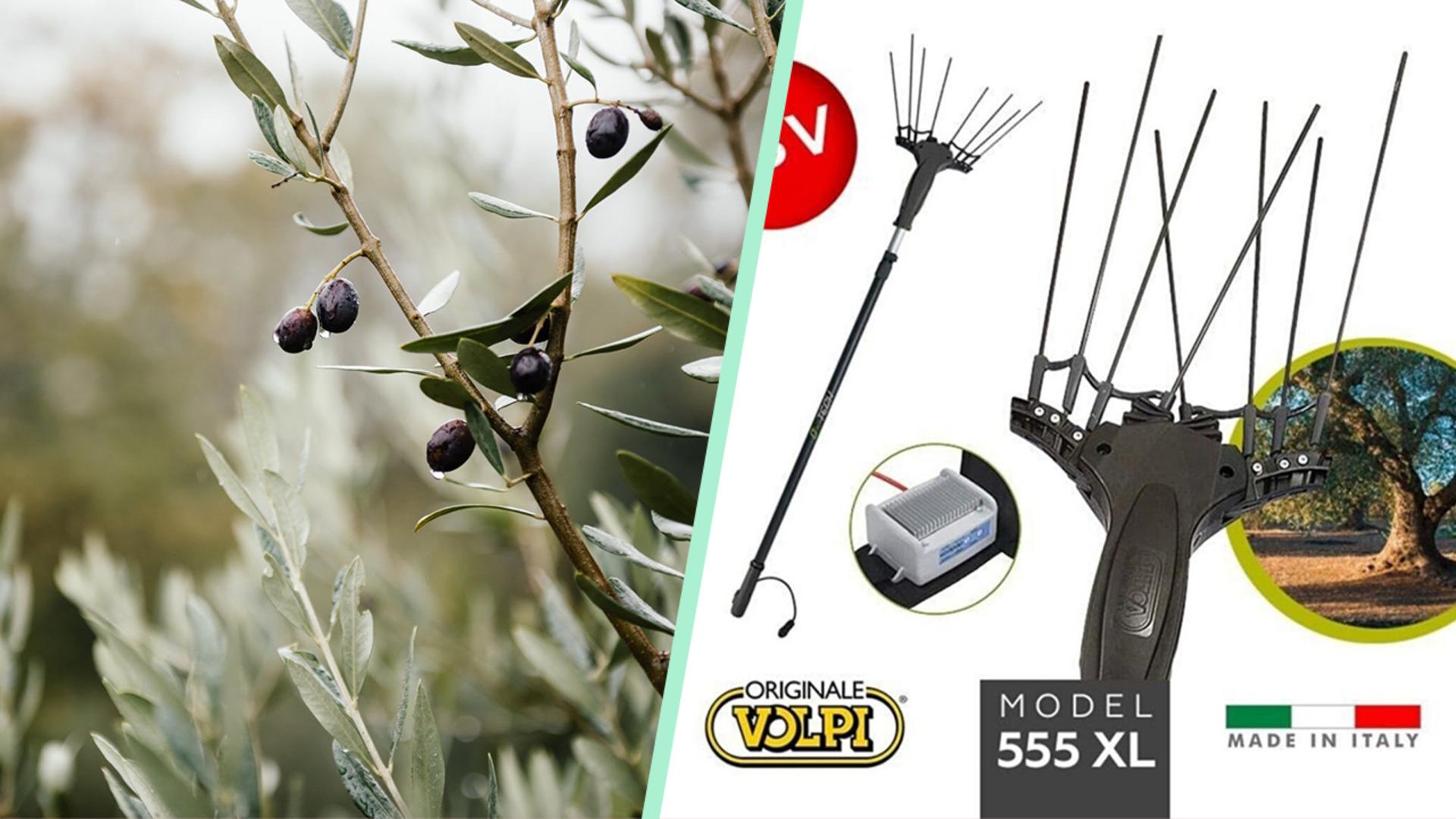 Zeytin hasatlarındaki yeni yardımcınız olacak en iyi zeytin silkme makineleri