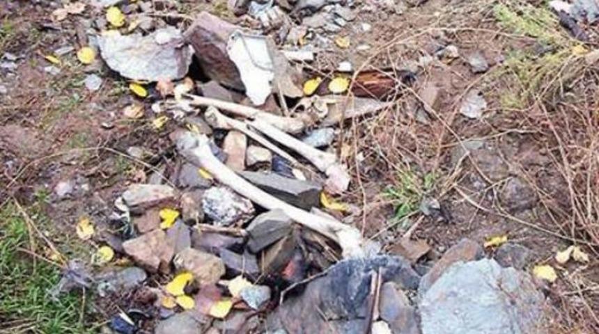 Komutanı ağlatan ifade