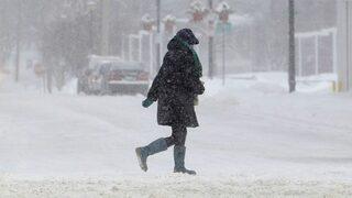 ABD'de halka uyarı: Rüzgarda cildiniz donabilir