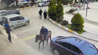 Karara öfkelendi! Atını belediye binasına sürdü