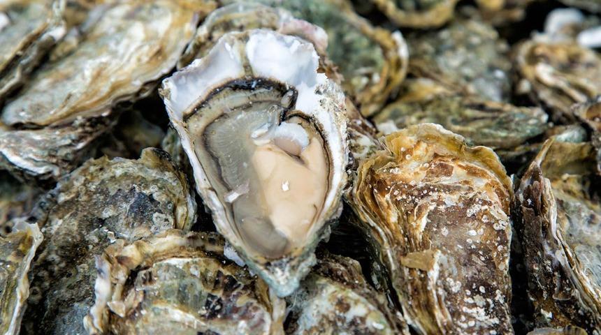 Sağlıklı ve hızlı uzayan saçlar için çareyi uzaklarda aramayın! Hem saçları uzatıyor hem de libidoyu ateşliyor