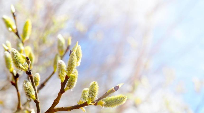 Cemre düştü mü? İlk cemre ne zaman, nereye düşecek 2022? Hava ne zaman ısınacak?