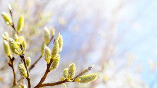 Cemre düştü mü? İlk cemre ne zaman, nereye düşecek 2022? Hava ne zaman ısınacak?