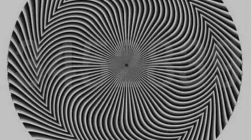 Herkes bu görseli konuşuyor! Optik illüzyon testi sosyal medyada gündem yarattı