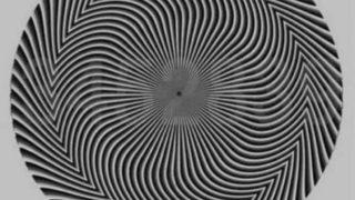 Herkes bu görseli konuşuyor! Optik illüzyon testi sosyal medyada gündem yarattı