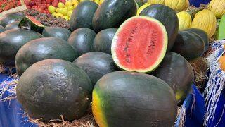 Yaz meyvesi karpuz şimdiden tezgahlara düştü! Bakın kilosu ne kadar?