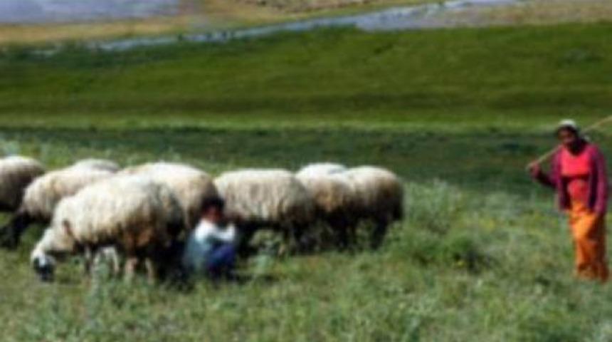 &lsquo;&Uuml;nzile&rsquo; ger&ccedil;ek oldu