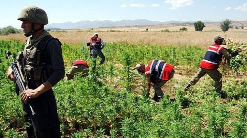 Diyarbakır'da b&uuml;y&uuml;k uyuşturucu operasyonu